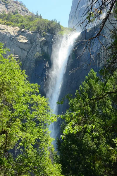 DSC_2280 (Large).JPG